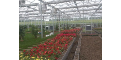 谷城特色農業信息咨詢服務 賦能鄉村振興，創造產業輝煌