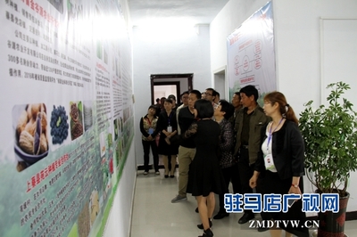 駐馬店市首個國家級'星創天地'在上蔡縣揭牌，助力農業信息咨詢與創新發展